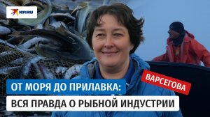 От моря до прилавка: как устроен промышленный лов рыбы