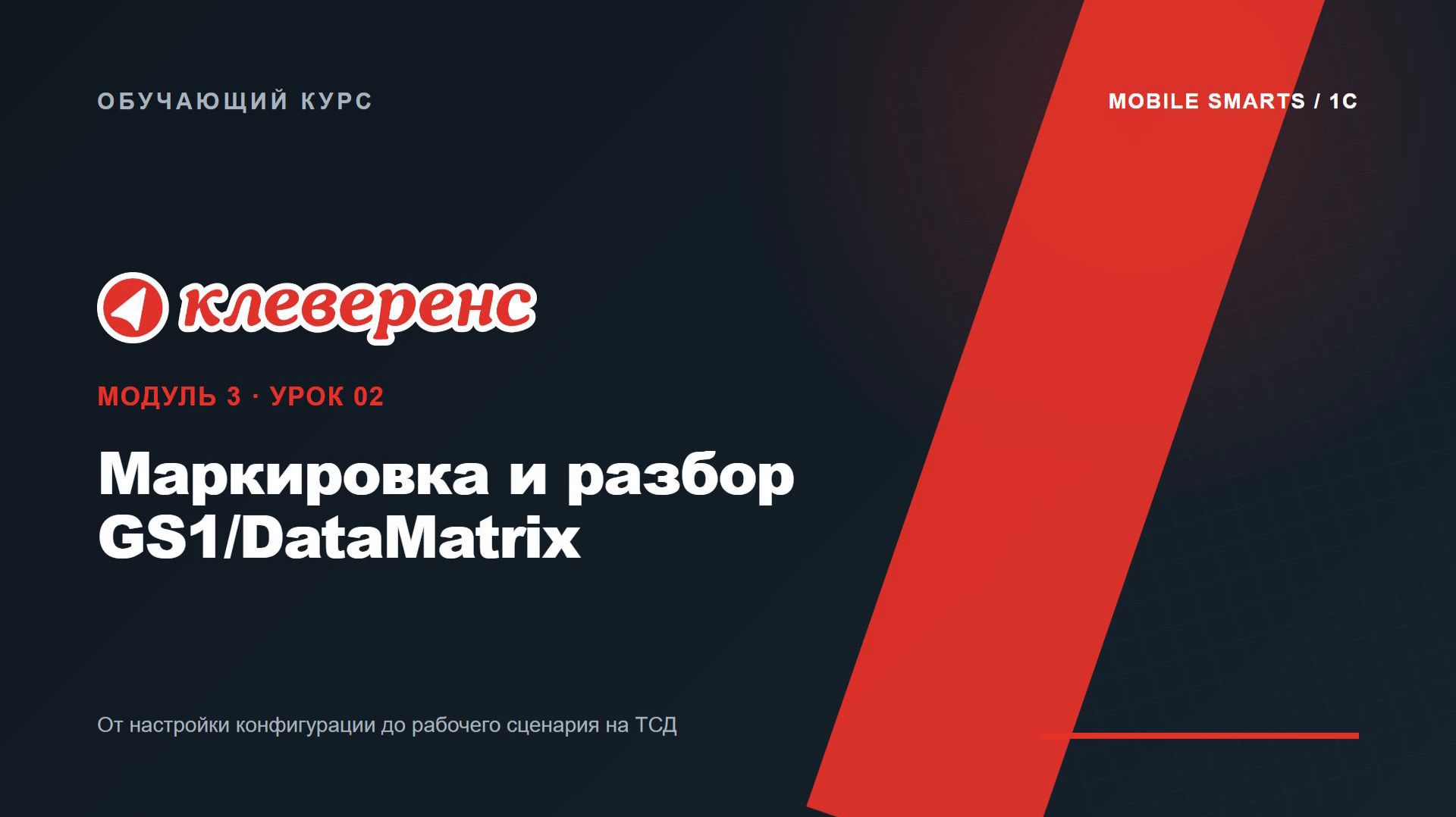 M3-02 | Маркировка и разбор GS1/DataMatrix | Mobile SMARTS