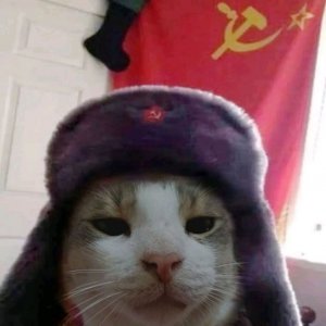 стрим продолжается