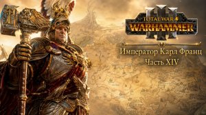 Total War: Warhammer 3 | Император Карл Франц: играем с подписчиками | #14