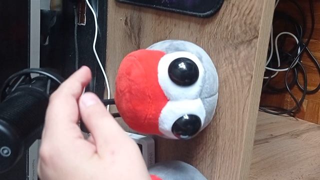 колонизация неСКОРО