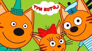 Три Кота 🐱🐱😽