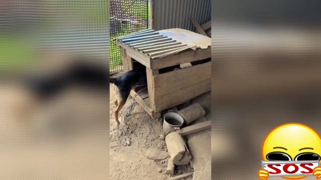 1000108532.mp4 смотреть онлайн