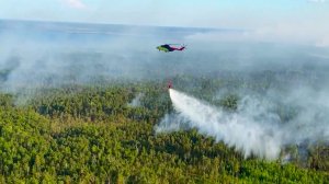 Лесоохрана Югры опубликовала уникальные кадры работы Ми-26