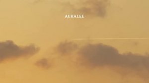 Показ коллекции Auralee весна-лето 2021