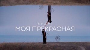 Shami - моя прекрасная | музыка 2026