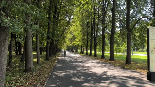 съемка на HUAWEI Pura 90s Pro Max