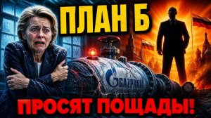 Энергетический капкан как Россия одним движением разделит Европу на части
