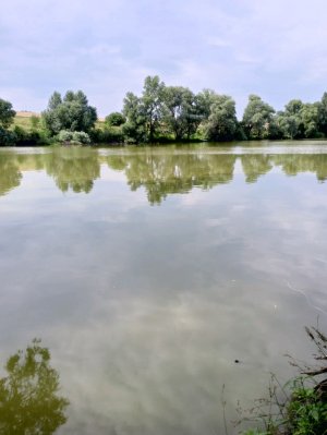 мой день
