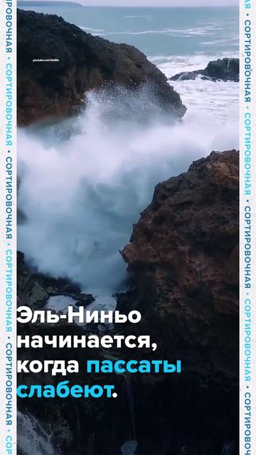 ⚠️ Эль-Ниньо уже здесь. Почему мы ничего не замечаем?