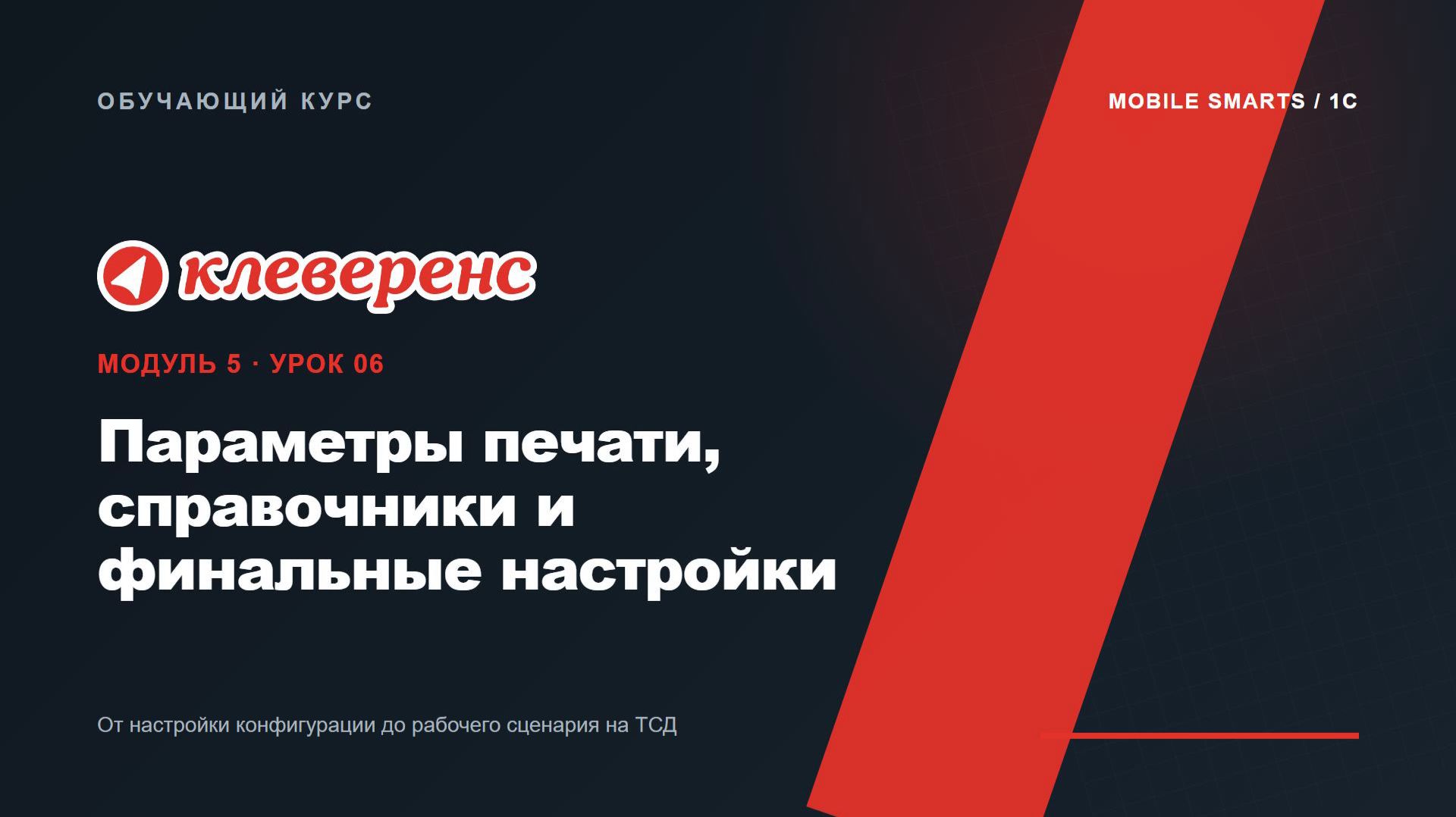 M5-06 | Параметры печати, справочники и финальные настройки | Mobile SMARTS