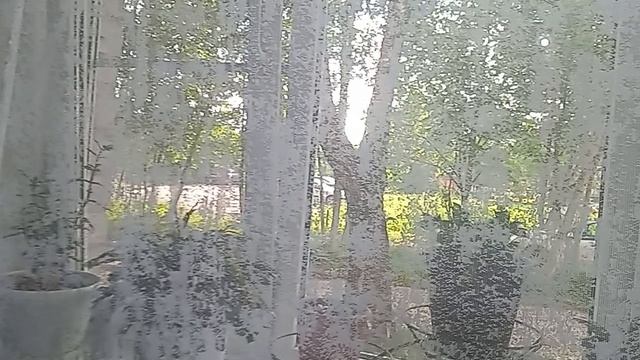 18+ доброе утро. спасибо всем за поддержку. 28.07.2026 смотреть онлайн