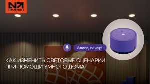 Умный свет без программистов | Настройка светодиодных модулей Novotech в Smart Life и Алисе