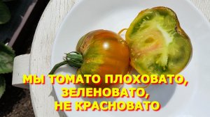 158.Очень расстроилась, не оправдались ожидания