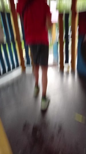 подруги дура