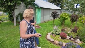 Фурмановские цветоводы-любители готовятся к ежегодному конкурсу «Радуга цветов»