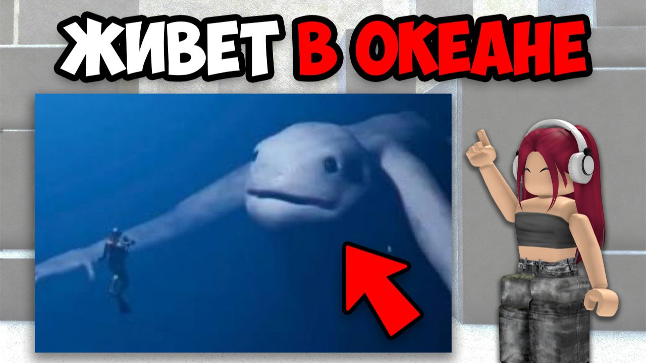 САМЫЕ ЗАГАДОЧНЫЕ СУЩЕСТВА