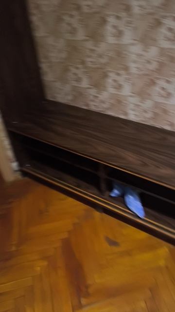 Комарова 5 в , 5 эт