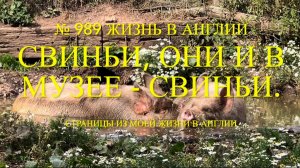Свиньи - они и в музее свиньи. Ретро - автомобили. № 989 Жизнь в Англии