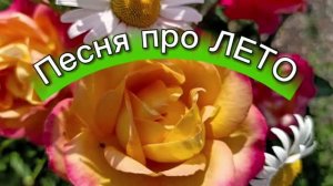 ПЕСНЯ ПРО  ЛЕТО  «Летнее море цветов»