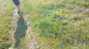 3 часть обзора на инициатор