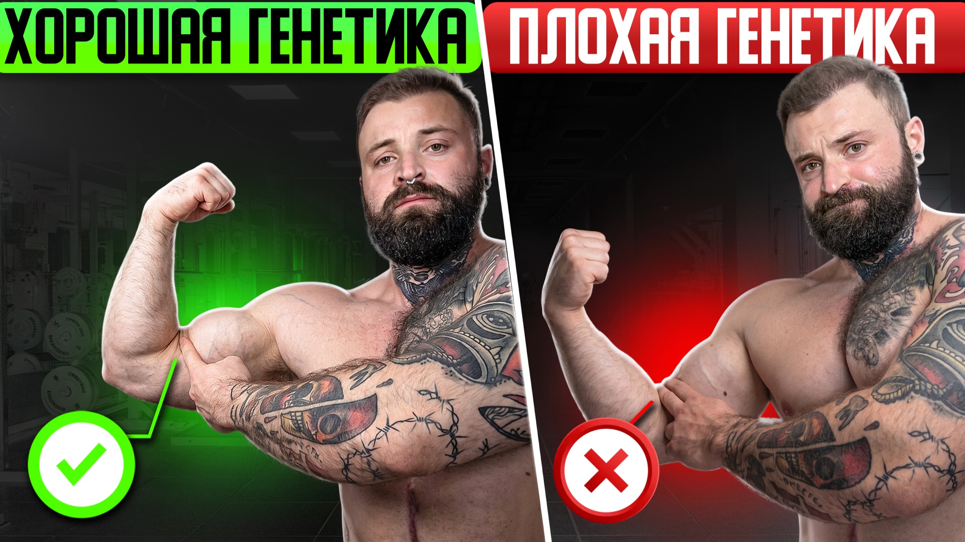 Почему все вокруг больше тебя? Влияние ГЕНЕТИКИ на рост мышц