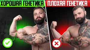 Почему все вокруг больше тебя? Влияние ГЕНЕТИКИ на рост мышц