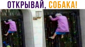 Рынок: открывается в 8:00. Бабка в 6:18)) Приколы
