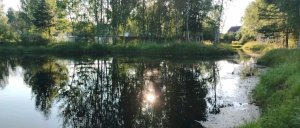 Болтаем