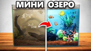 Я Построил Озёрную Экосистему у Себя на Столе