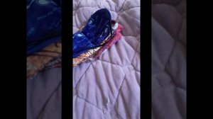 БОЛЬШОЙ ВЛОГ В ПОЕЗДЕ 1 ЧАСТЬ