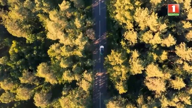 🛢️ Один день... с Сергеем Каморниковым