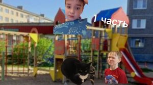 смешные моменты с котом