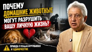 Почему домашние животные могут разрушить вашу личную жизнь? Правда о кошках, собаках и одиночестве