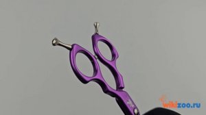 Ножницы TAA 6.0 SCW60 purple изогнутые