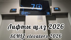 (НОВЫЕ РЕДКИЕ ЗВУКИ!)Лифты шлз 2026