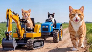 Мама-кошка подстригает шерсть на ферме и делает тигровую шапку для котят дома🐾🎩🐯