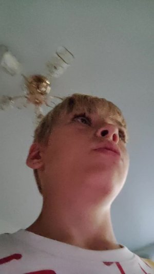 сегодня я готовлю