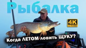 Когда КЛЮЁТ ЩУКА летом. Летняя РЫБАЛКА на ЩУКУ.