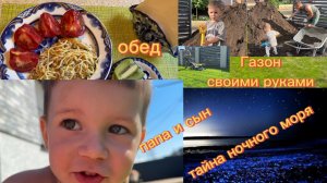 Доброе утро после дня рождения😊 Папа и сын создают зеленый газон🖼️ ЧУДО ночного моря ‼️