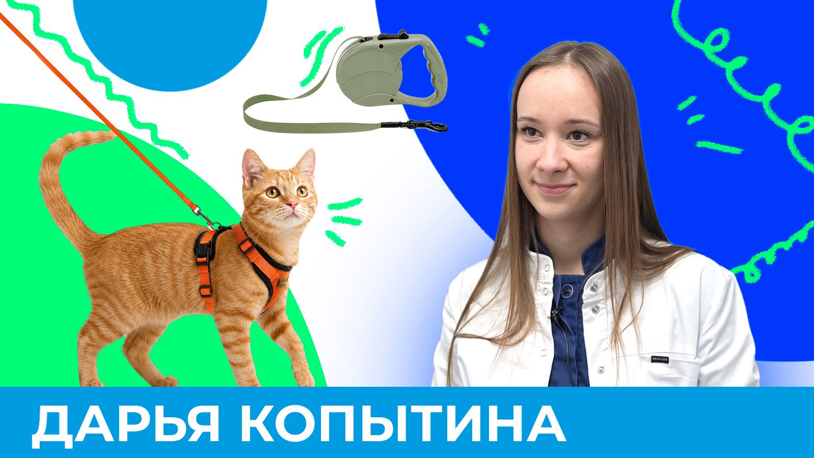 Почему кошкам не место на улице? | Короче, Омск 678