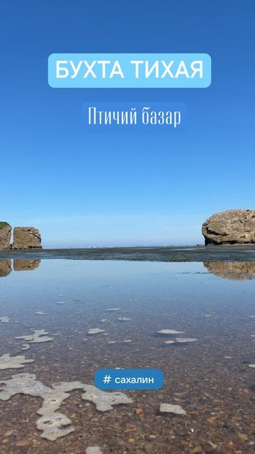 Бухта Тихая. Птичий базар