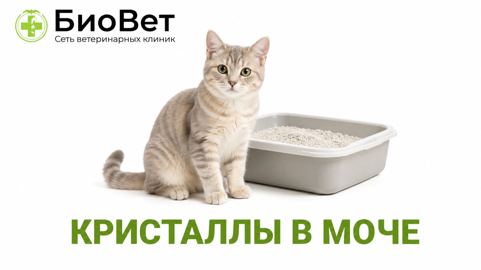 Кристаллы в моче