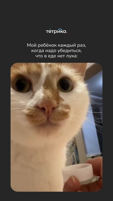 Лук в еде