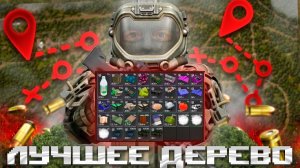 Я НАШЁЛ САМОЕ ПРИБЫЛЬНОЕ ДЕРЕВО ДЛЯ ПКШЕРСТВА В STALZONE