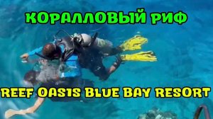 ЕГИПЕТ 🇪🇬 2026 🌴 как на самом деле выглядит КОРАЛЛОВЫЙ РИФ в отеле REEF OASIS •BLUE BAY RESORT 5*