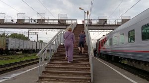 Путешествие Басика из Москвы до Елани / часть 2
