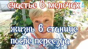 318🏡Все вырвала и посадила новые/Заготовки продолжаются