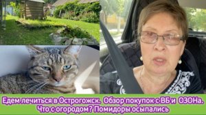 Едем лечиться в Острогожск. Обзор покупок с ВБ и ОЗОНа. Что с огородом? Помидоры осыпались