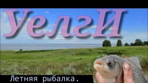 🐟УЕЛГИ🐟Без Подсака не Обойтись